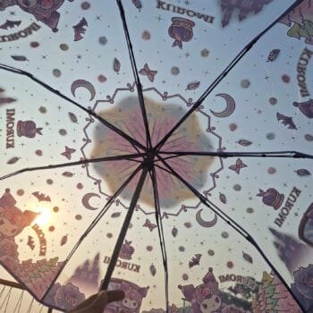Transparent Umbrella