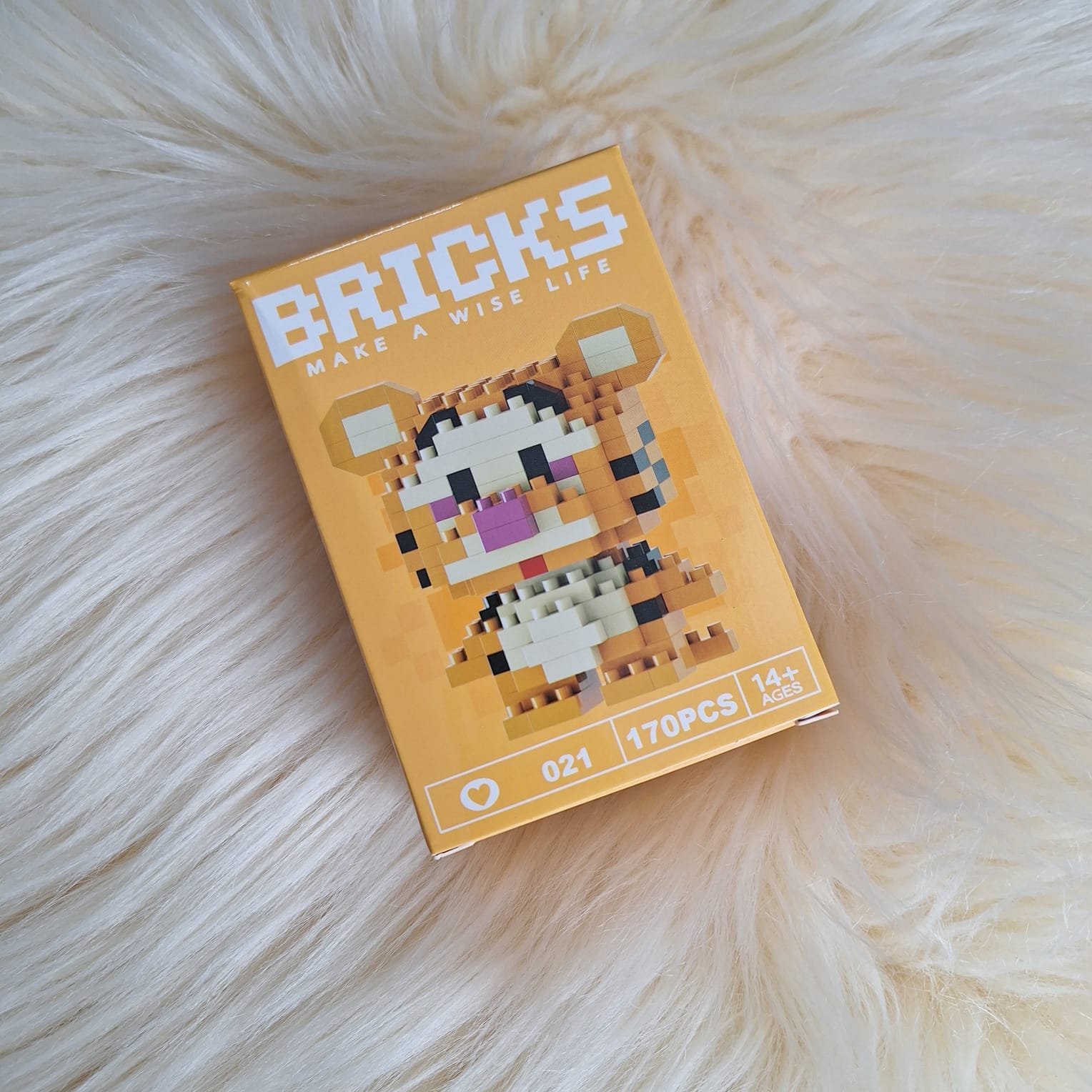 WhatsApp Image 2025-07-29 at 8.50.35 PM (1)